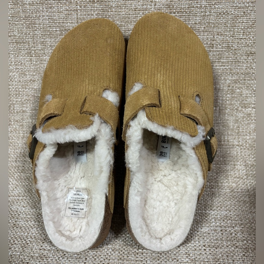 Boston Teddy Shearling